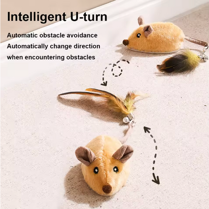 Cat & Mouse Toy™